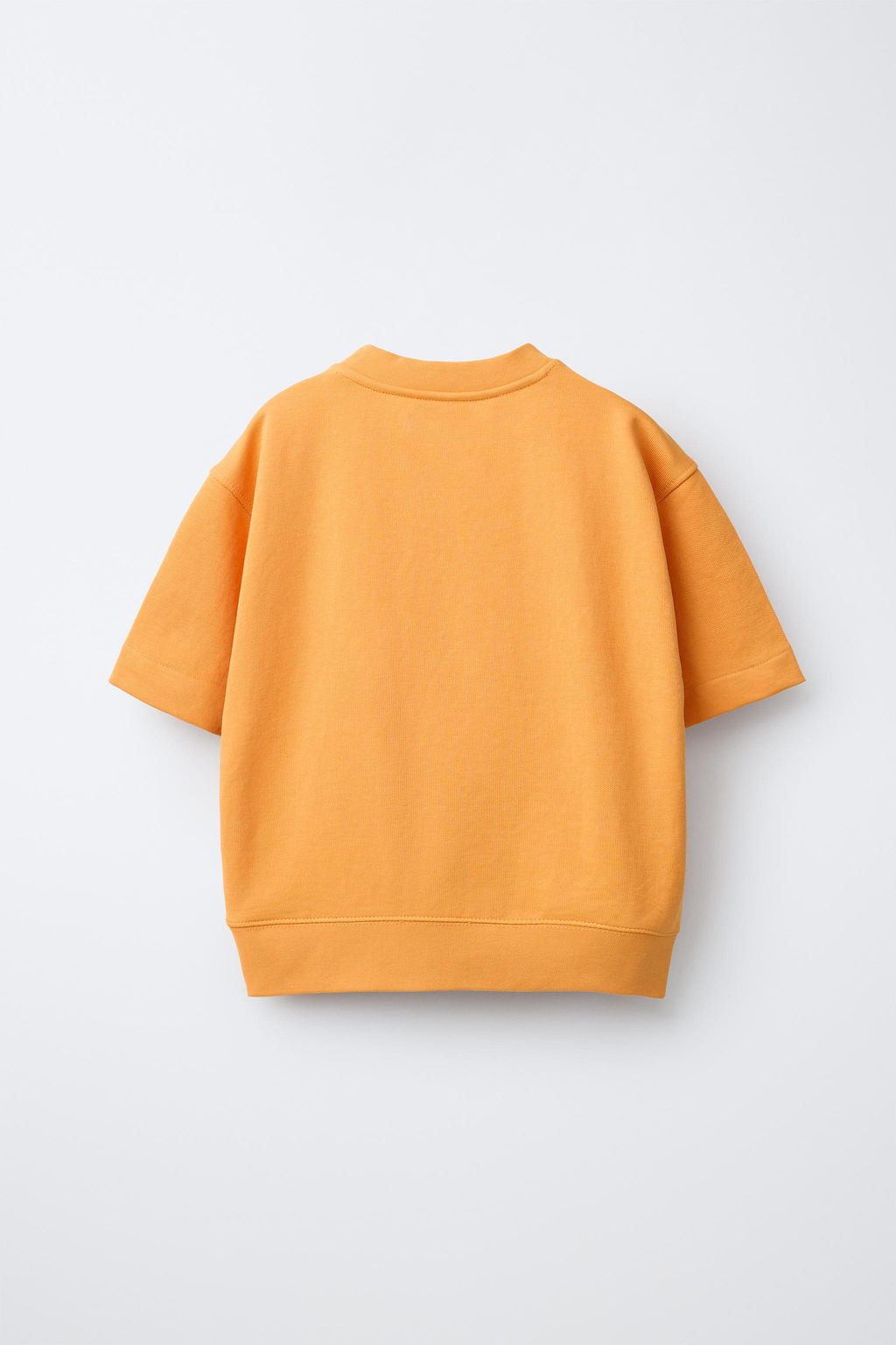 SUDADERA MANGA CORTA TEXTO RELIEVE / Naranja - Zara фото 5