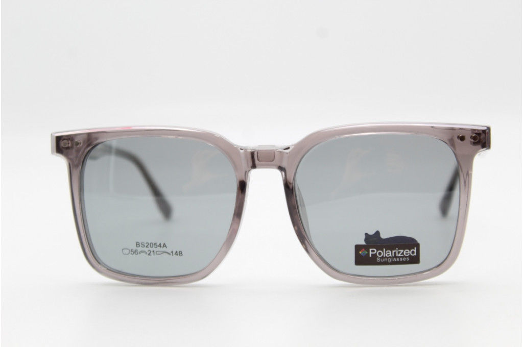 Оправа Bosiyan 2054 56-21-148 C2 с насадкой Polarized