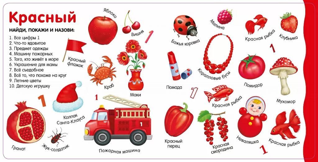 Изучаем цвета, слова, цифры - Робинс фото 2