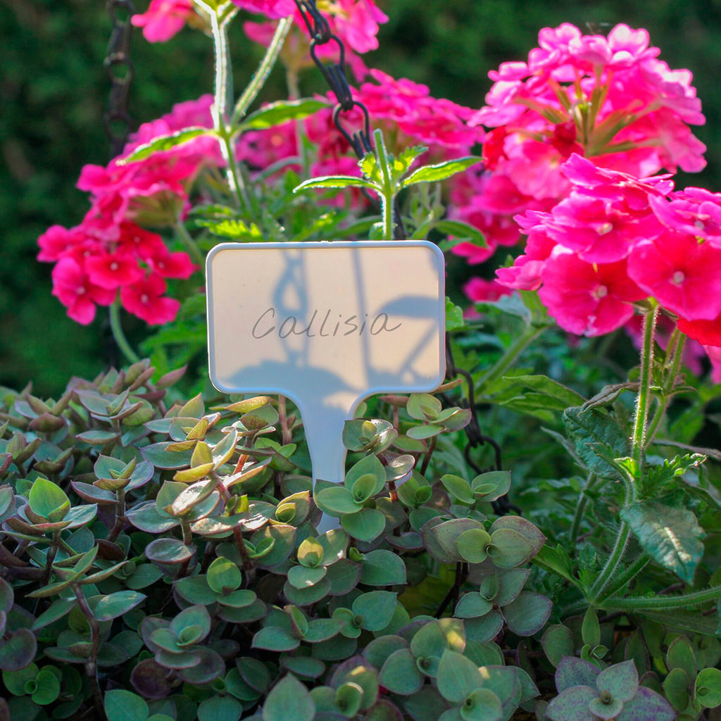 Табличка садовая для маркировки растений 5,5х3,5х15см, полипропилен, белый (Беларусь) - Домашняя мода фото 2