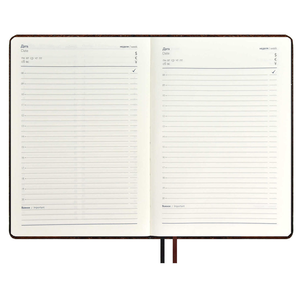 Ежедневник недатированный ESCALADA, А5+, 160 л., арт. 67178/ 10 АЛЛИГАТОР КОРИЧНЕВЫЙ