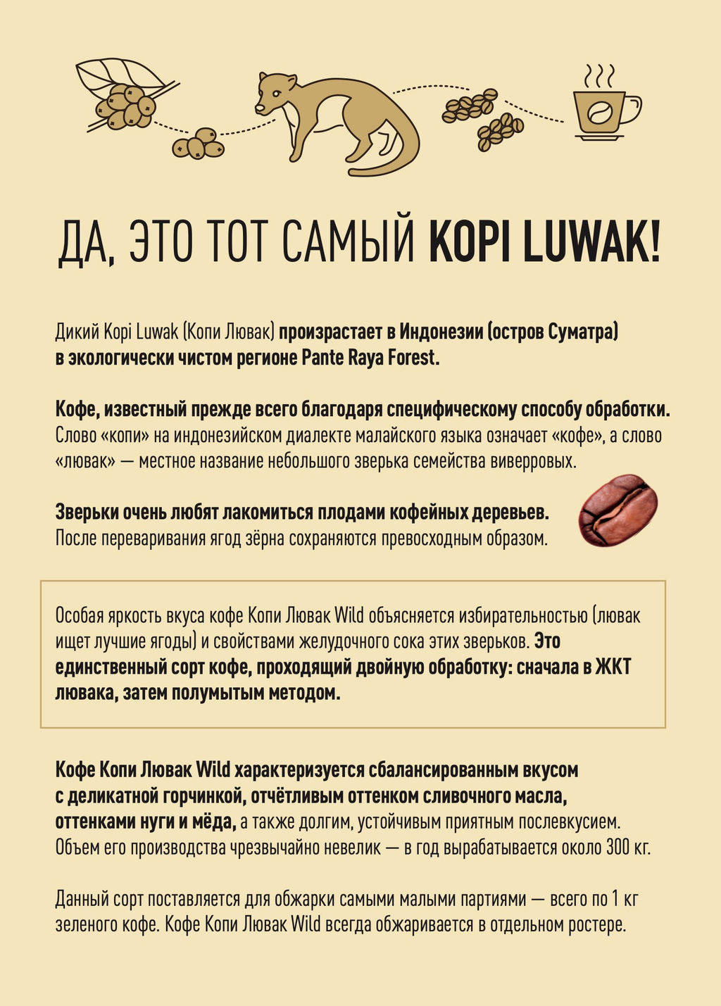 Кофе натуральный Индонезия Суматра Копи Лювак Wild 200 г - Madeo фото 3