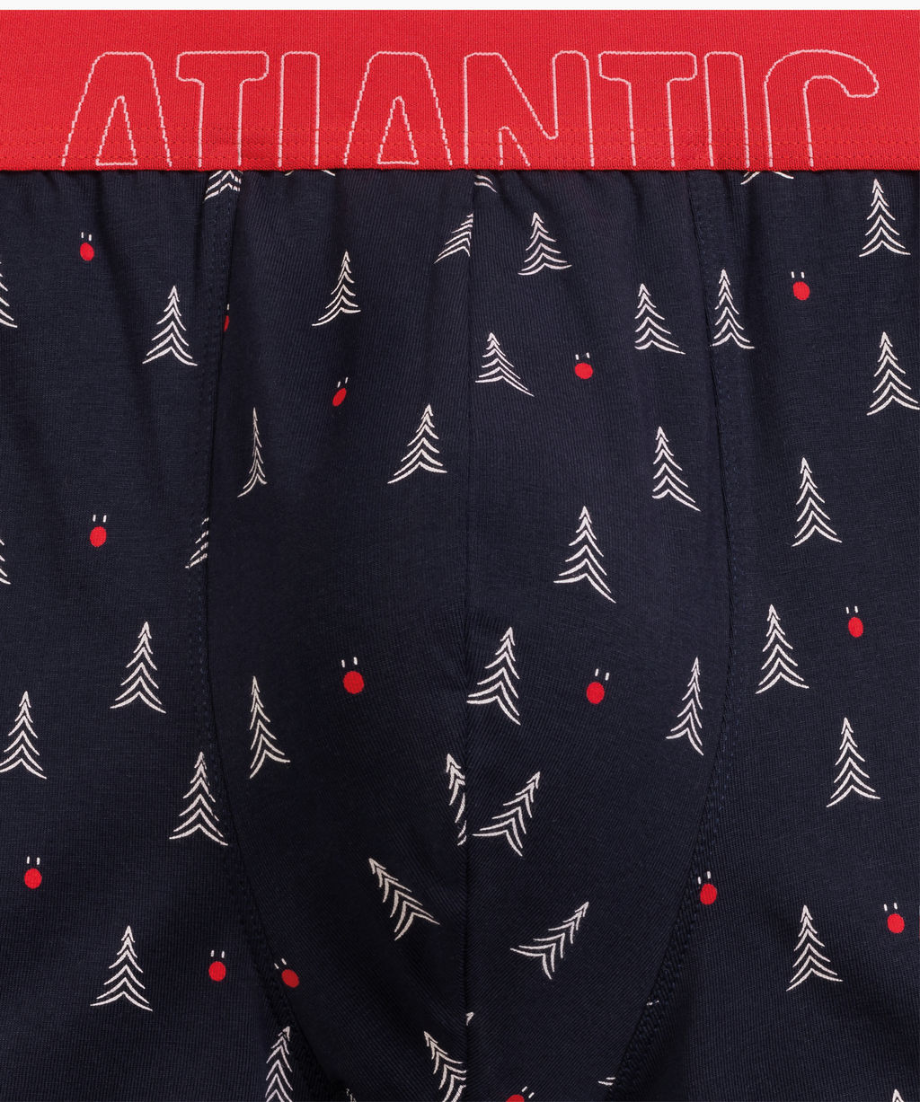 ATLANTIC 2GMH-027 Трусы шорты Socks - набор 2 шт. темно-синий  фото 5