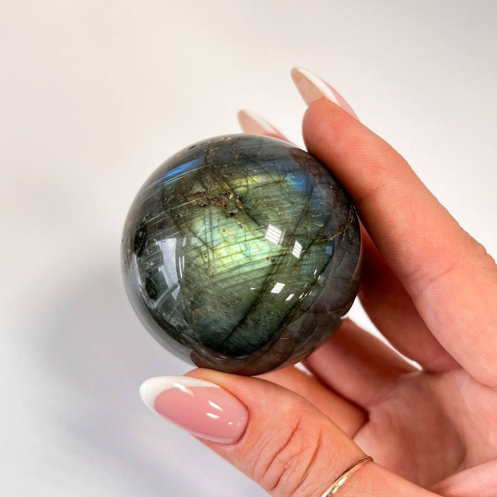 Шар из Лабрадора на подставке