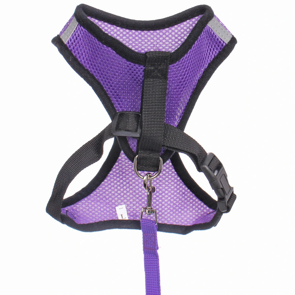 Цена за 2 шт. Шлейка с поводком 118см "Sweet puppy" размер L, цвет фиолетовый