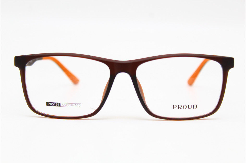 Оправа PROUD 65191 55-16-145 С4  фото 2