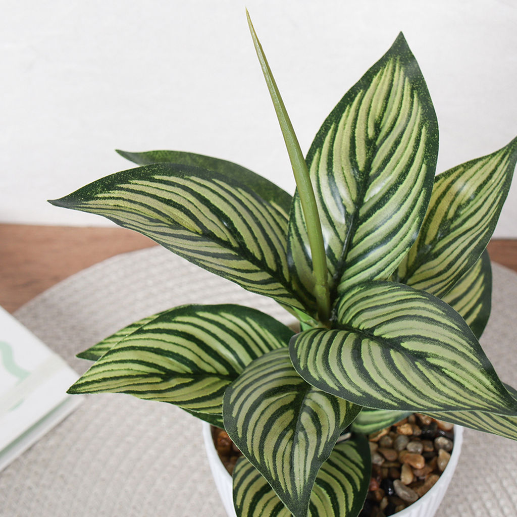 Цветочная композиция Диффенбахия 26 см / 9090-12 /уп 12/96/ - Галеонтрейд фото 19