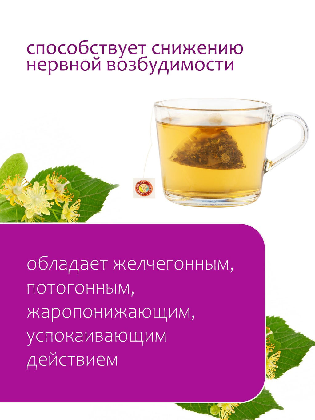 Хит! Липа в пирамидках - Травы горного крыма фото 5