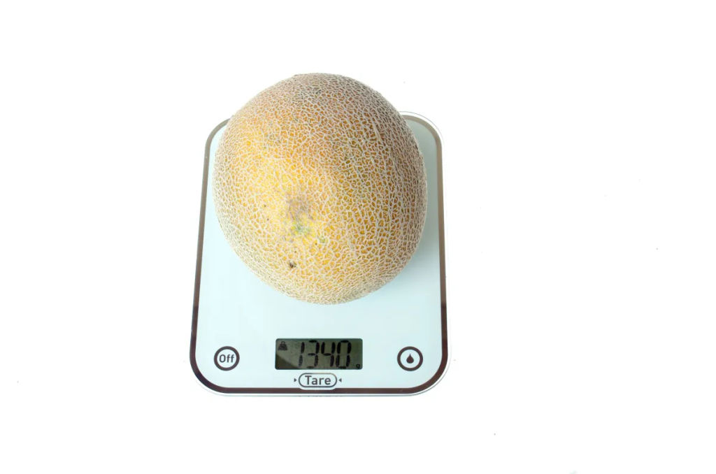 Дыня Нимфа - Партнер фото 3