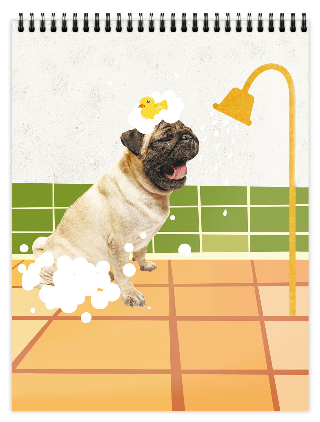 Цена за 5 шт. Блокнот А6 80 л. клетка Schoolformat ПОРТРЕТЫ ПИТОМЦЕВ на гребне, мелованный картон, сплош...