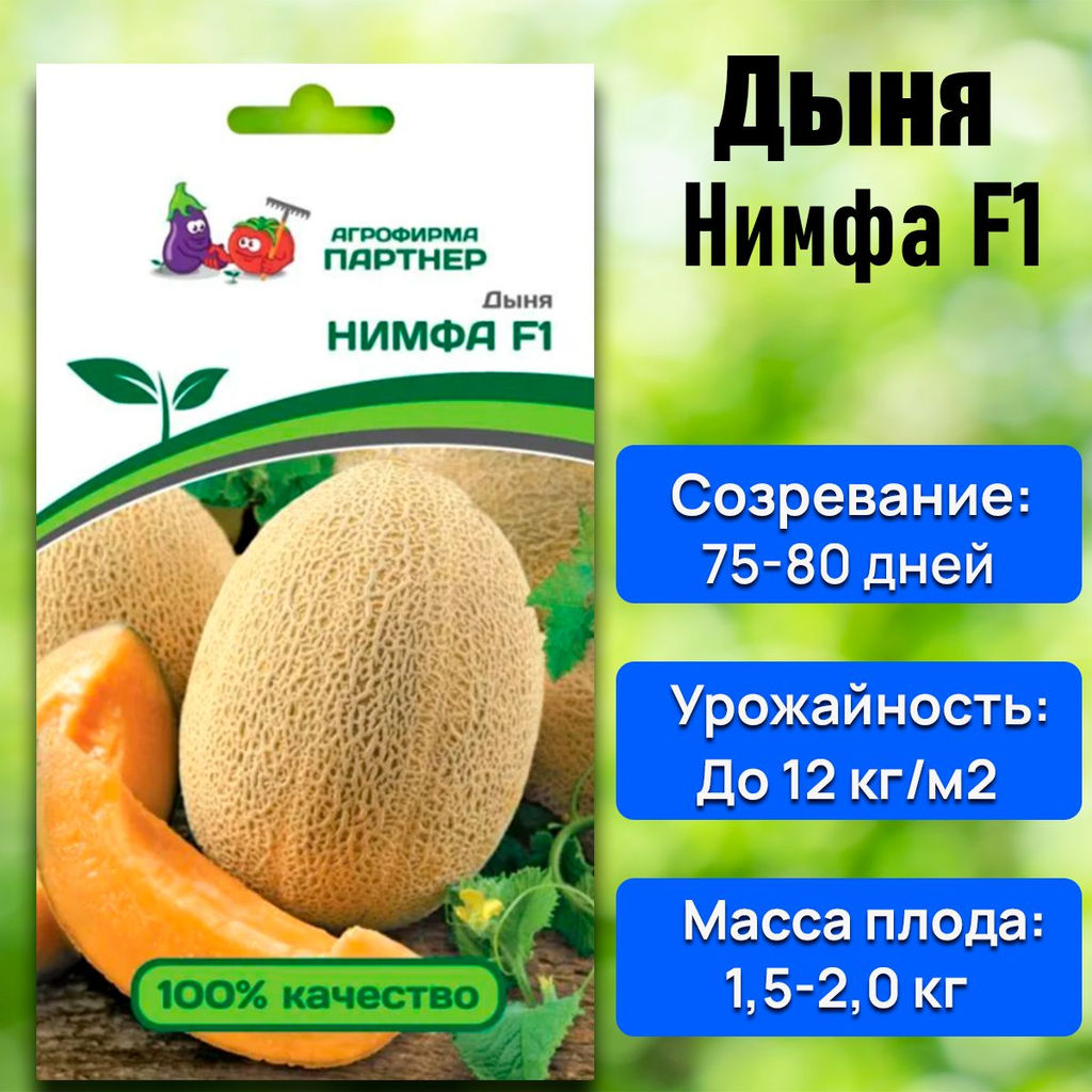 Дыня Нимфа - Партнер фото 6