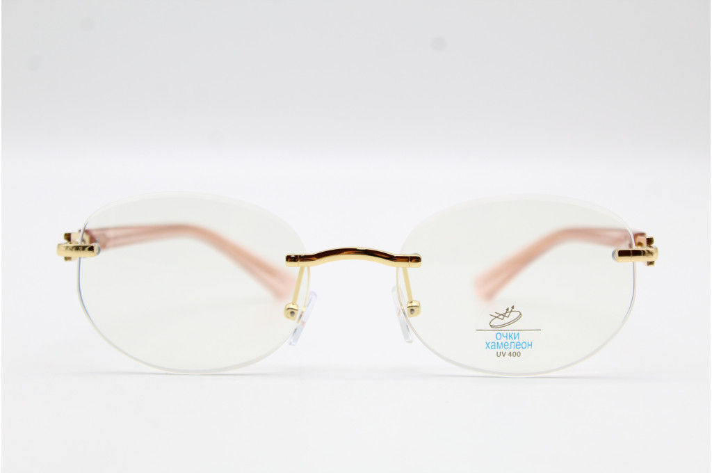ОЧКИ ХАМЕЛЕОНЫ DisiKaer DH 119 58-20-146 С3