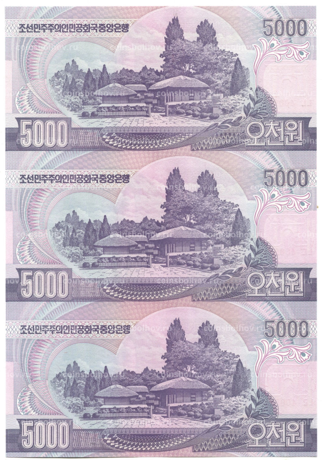 5000 вон 2006 года Северная Корея  Лист из трех банкнот