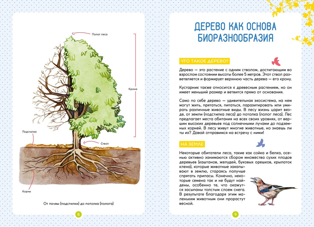 Лесные животные. Жапьо Ксавье - Махаон фото 3