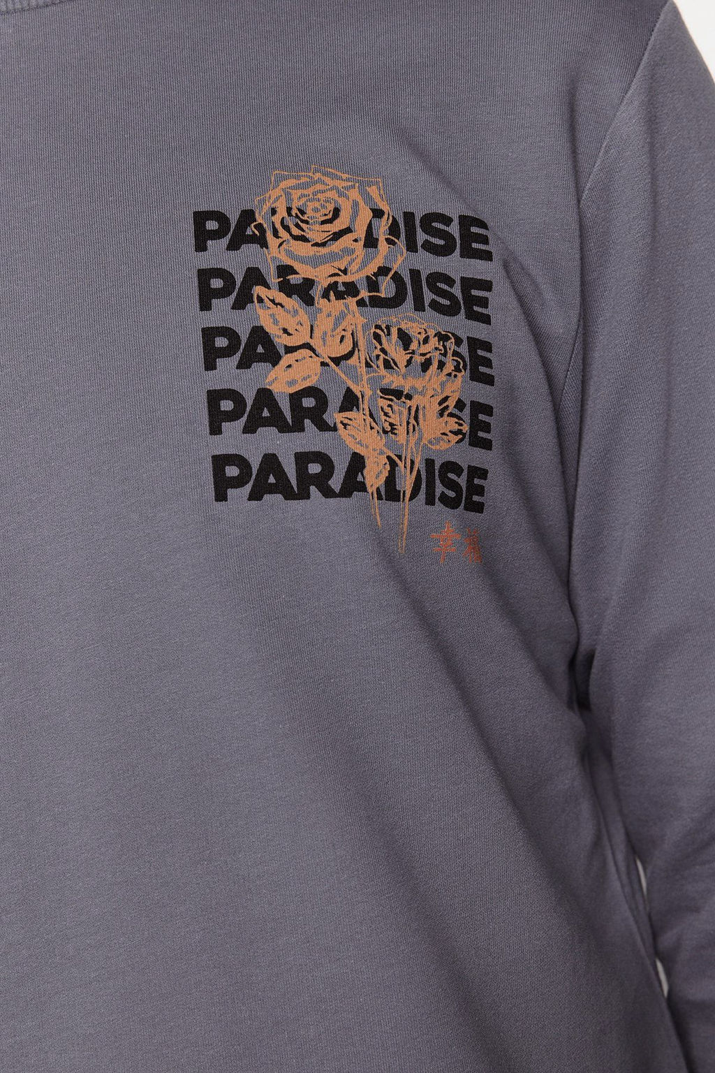 Antrasit Erkek Regular/Normal Kesim Uzun Kollu Bisiklet Yaka Bask?l? Sweatshirt TMNAW22SW0572