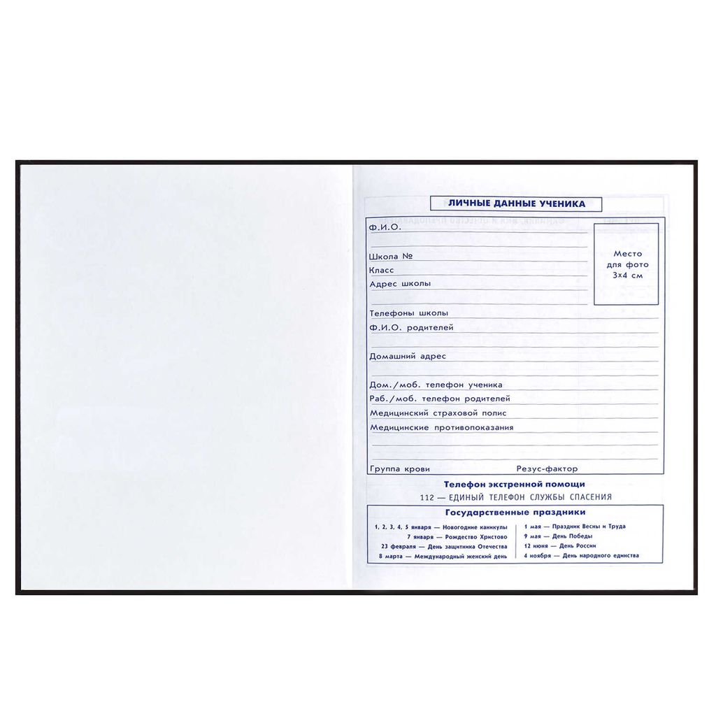 Дневник школьный 5-11 класс арт. 60095 СКЕЙТ АРТ - Феникс+ фото 5