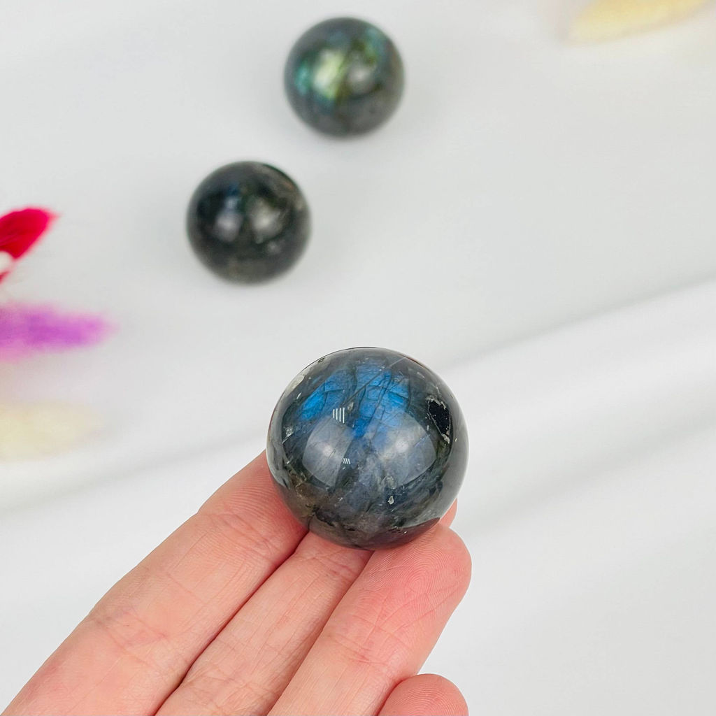 Шар из Лабрадора