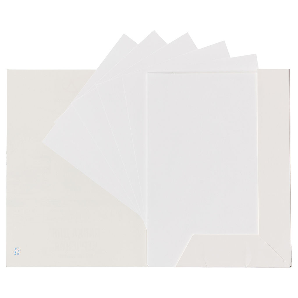 VISTA-ARTISTA Папка для черчения VPG-A424 200 г/м2 A4 21 х 29.7 см папка 24 л. Гознак  фото 5