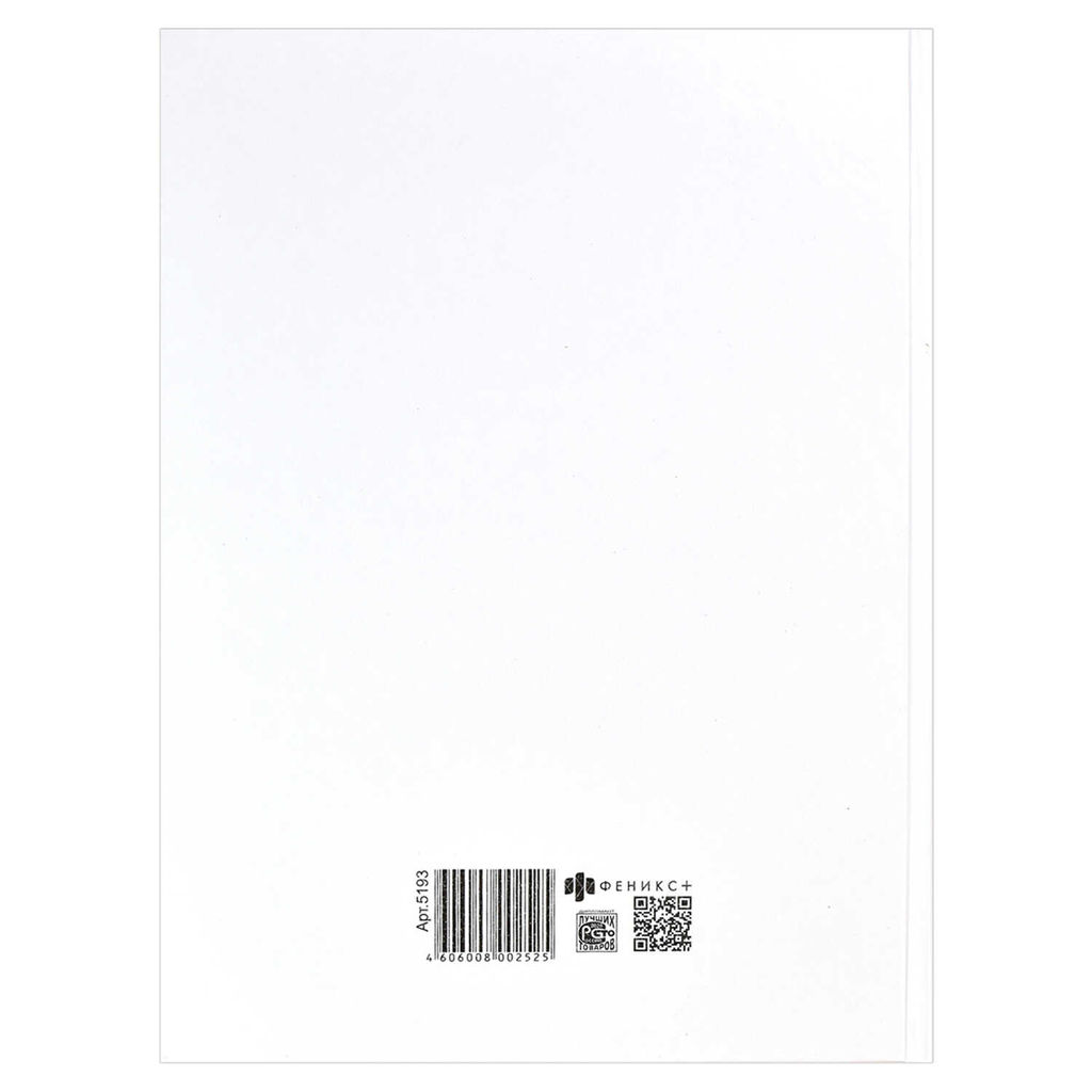 Классный журнал 10-11 класс арт. 5193