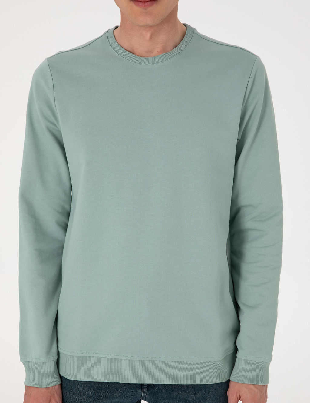 _a_la 2 _plik Regular Fit Bisiklet Yaka Basic Sweatshirt - Pierre cardin фото 6