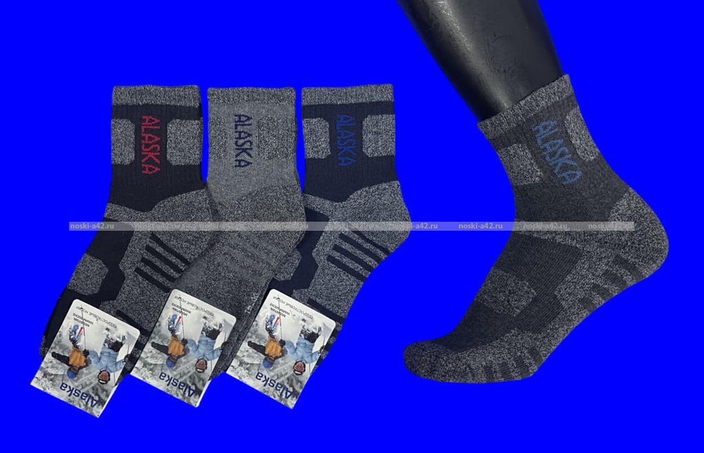 Цена за 10 пар. "АЛЯСКА" Термоноски спортивные внутри махра для мальчиков арт. А 58