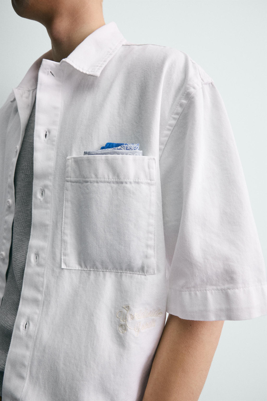 SOBRECAMISA ESTRUCTURA BORDADO / Blanco - Zara фото 6