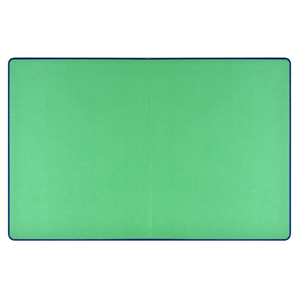 Дневник школьный арт. 58873 / 15 ПОП АРТ - Феникс+ фото 4