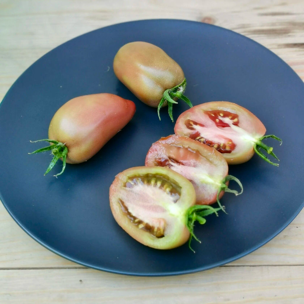 Гном Альмандин