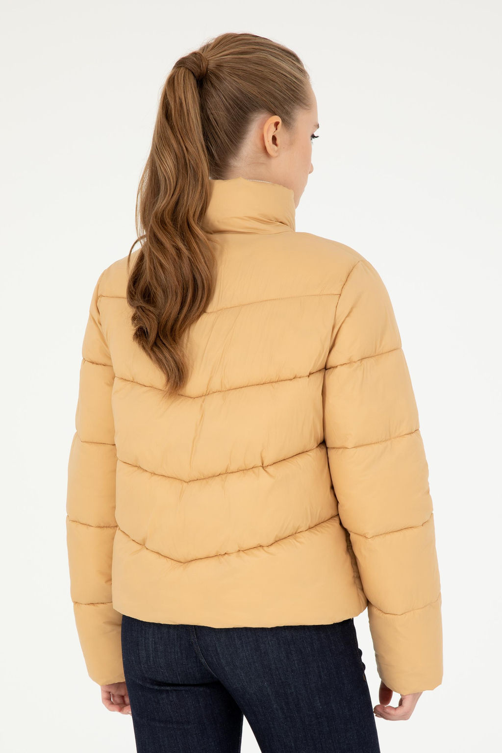 Kad_n Camel Mont