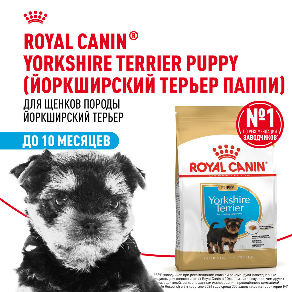 RC Для щенков Йоркширского терьера: до 10мес. (Yorkshire Puppy 29) 39720150R3
