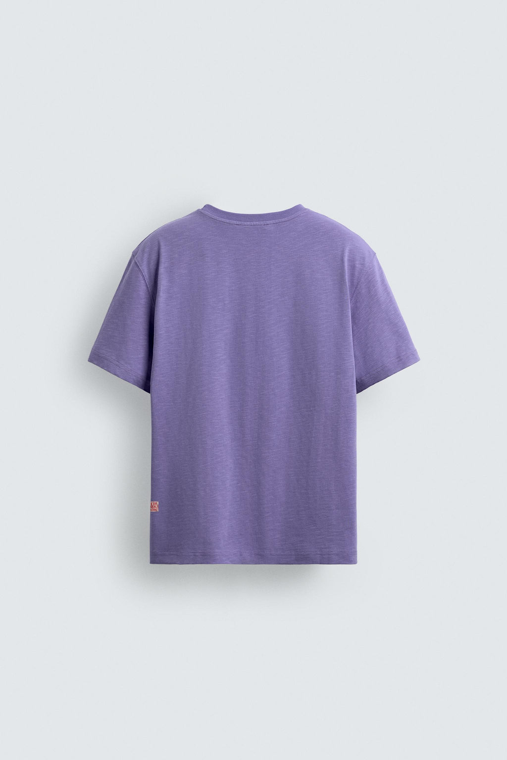 CAMISETA REGULAR FIT ESTRUCTURA FLAM? / 683 - Zara фото 8