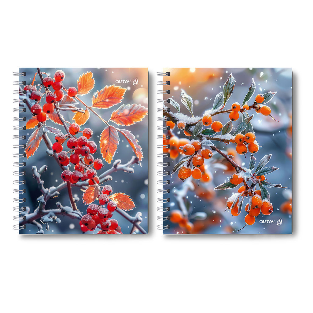 Светоч Т211 Тетрадь общая с твердой обложкой, матовая ламинация + выборочный лак A5 96 л. на гребне 65 г/кв.м , белизна 100 % 4 шт. клетка 01555 Зимняя ягода