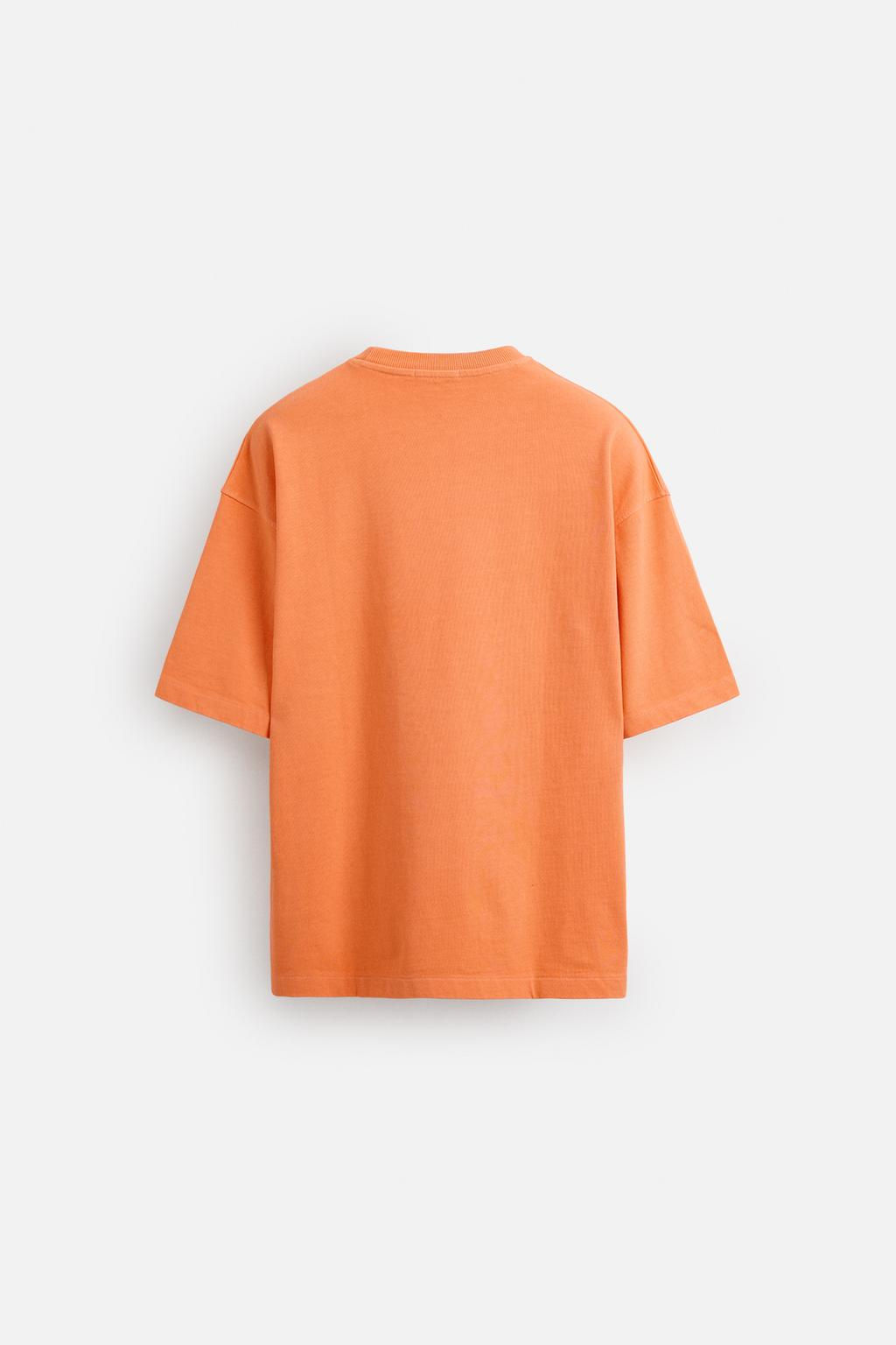 RELAXED FIT SPRAY WASH T-SHIRT - Zara фото 16