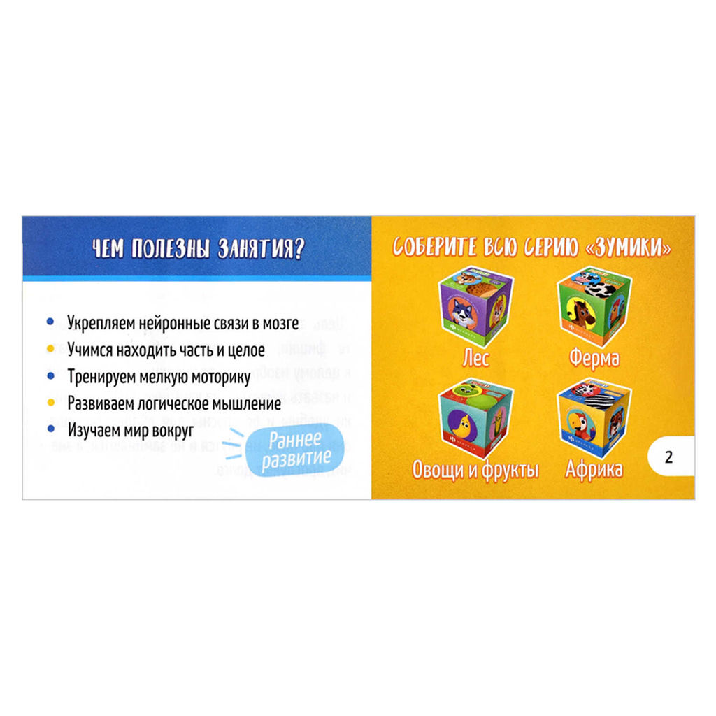 Карточки с картинками для детей. Серия Зумики арт. 58470 АФРИКА - Феникс+ фото 6