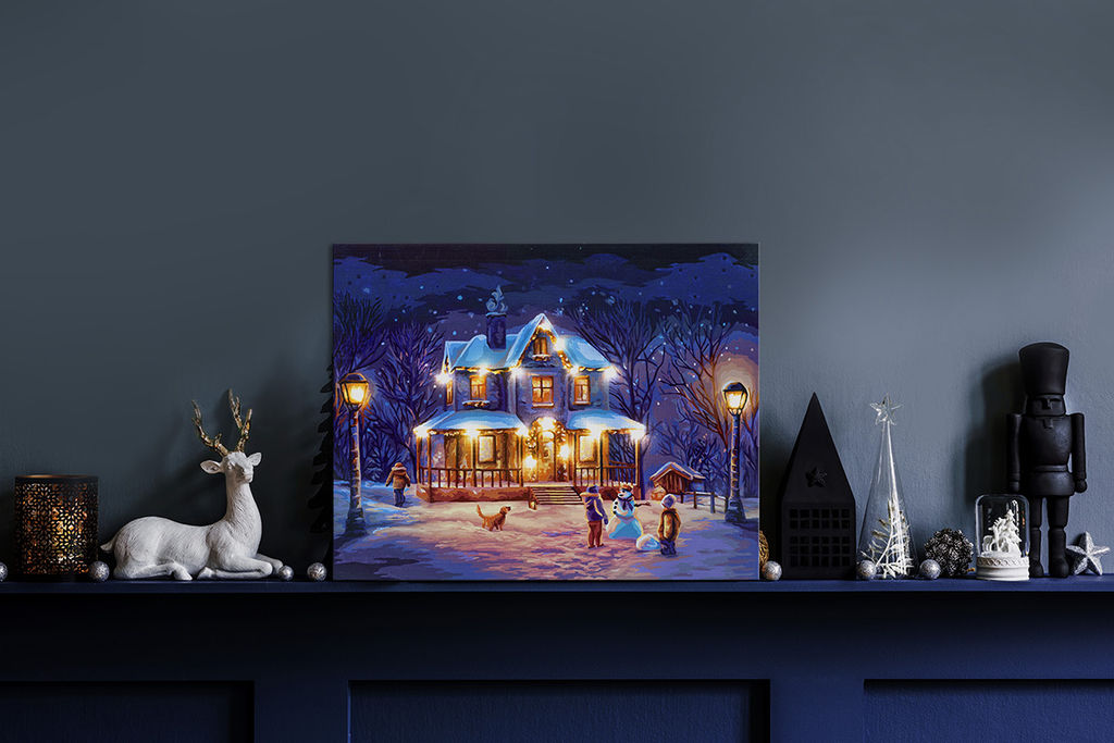 ФРЕЯ PNB/PLDD-179 Набор для раскрашивания по номерам ( со светодиодами ) 50 х 40 см Предвкушение чуда