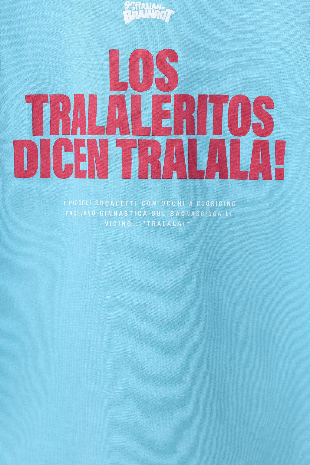 CAMISETA ESTAMPADA SKIFIDOL ITALIAN BRAINROT / Azul