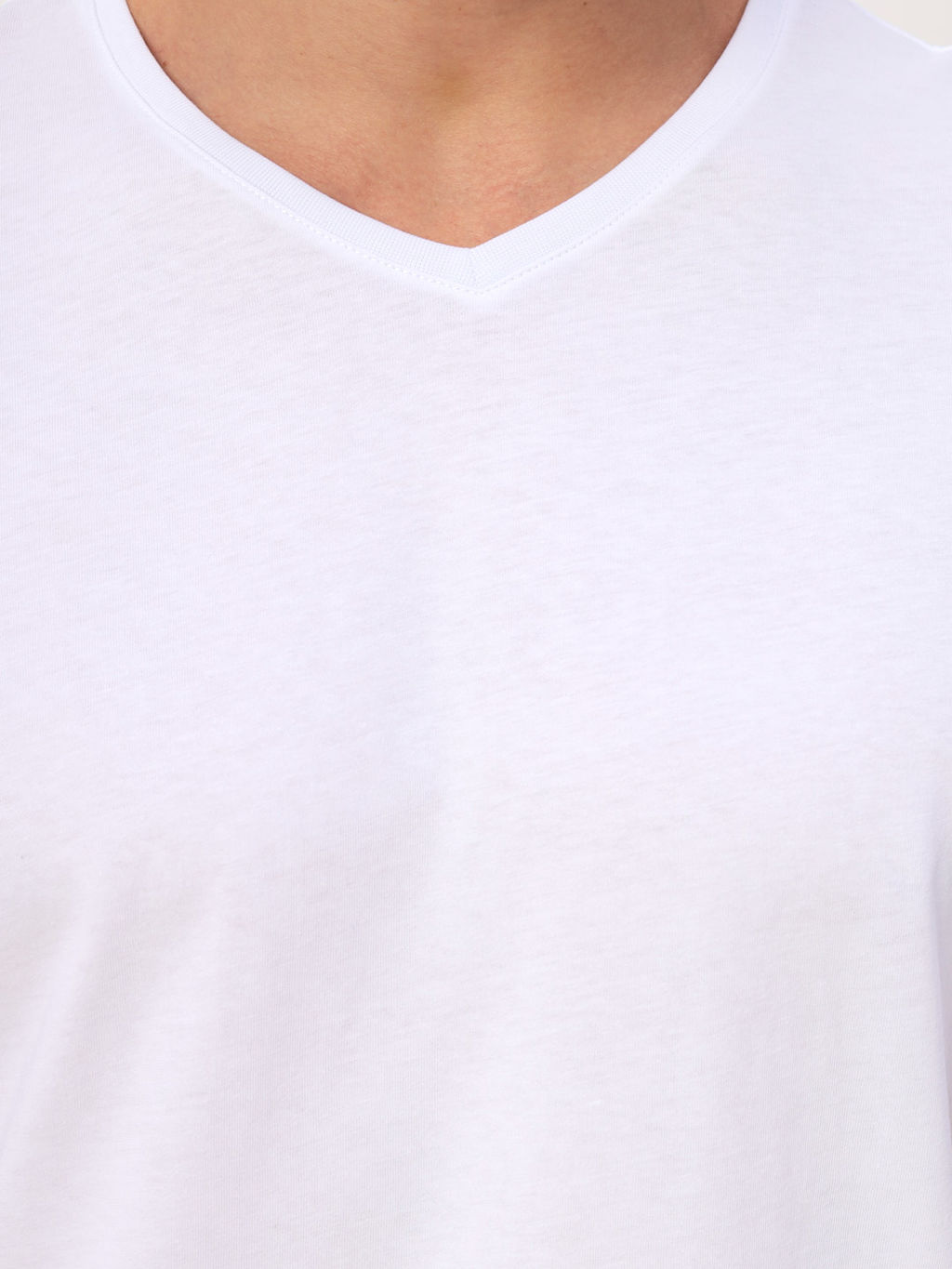 Футболка мужская короткий рукав GREG G146-RD-0001 (белый) фото 6