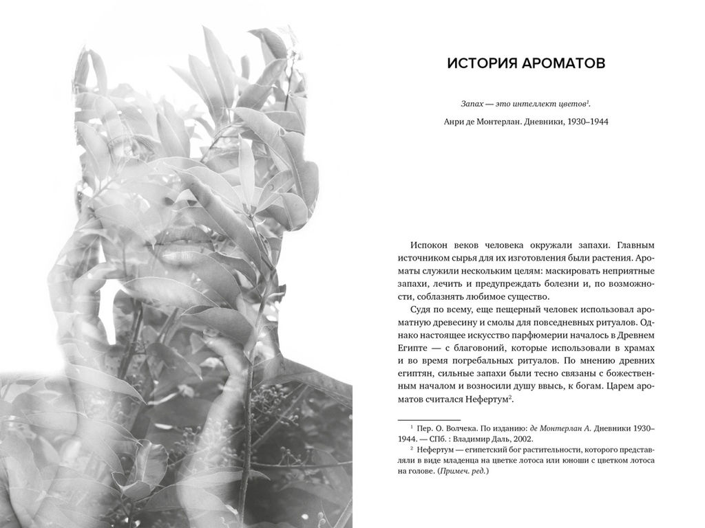 Нос. Секреты парфюмера Guerlain. Делакурт С. - Колибри фото 8