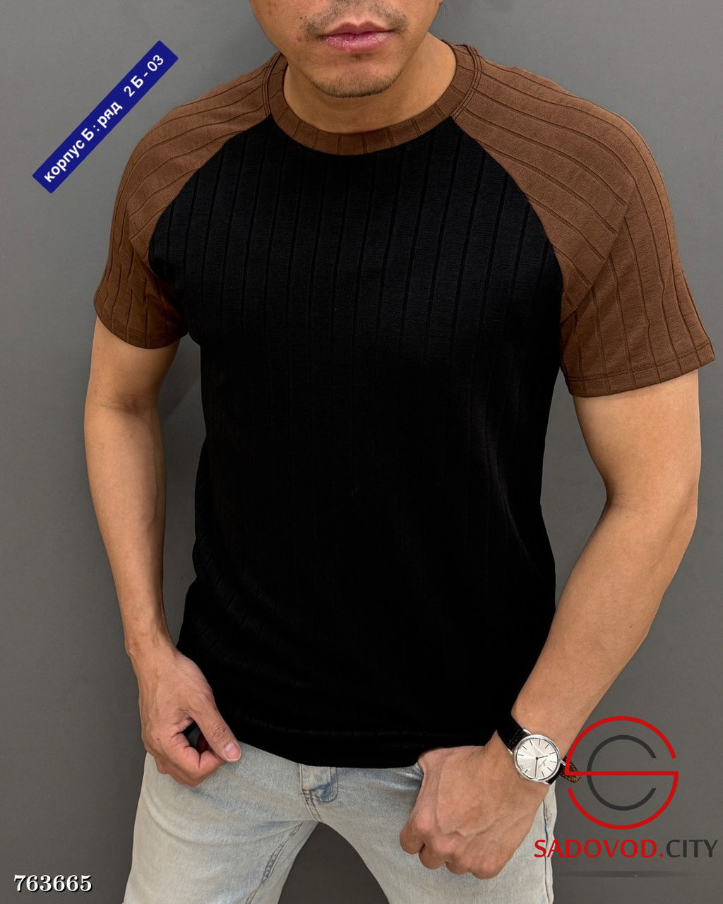 Мужская однотонная футболка