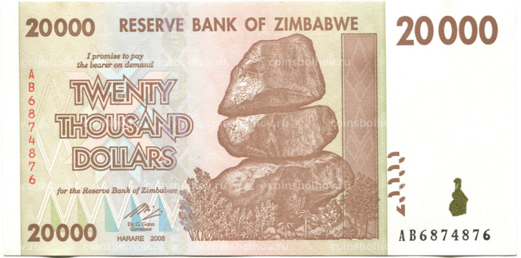 20000 долларов 2008 года Зимбабве
