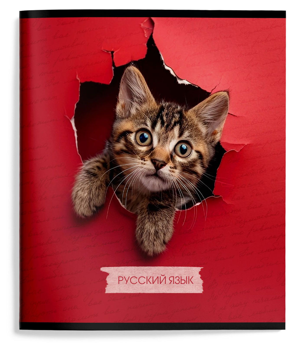Цена за 2 шт. Тетрадь 48 л. А5 линия, на скрепке, Schoolformat ЛЮБОПЫТНЫЙ КОТИК Русский язык мелованный ...