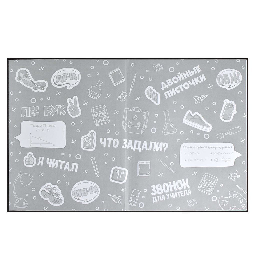 Дневник школьный 5-11 класс арт. 60095 СКЕЙТ АРТ - Феникс+ фото 4