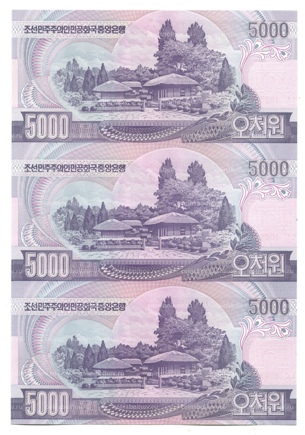 Банкнота 5000 вон 2006 года Северная Корея  Лист из трех банкнот