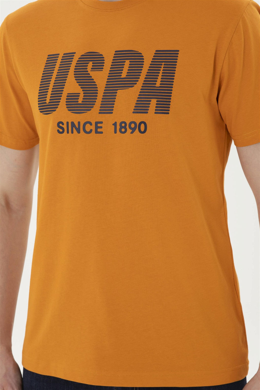 Мужская футболка с плиткой - U.s. polo assn фото 6