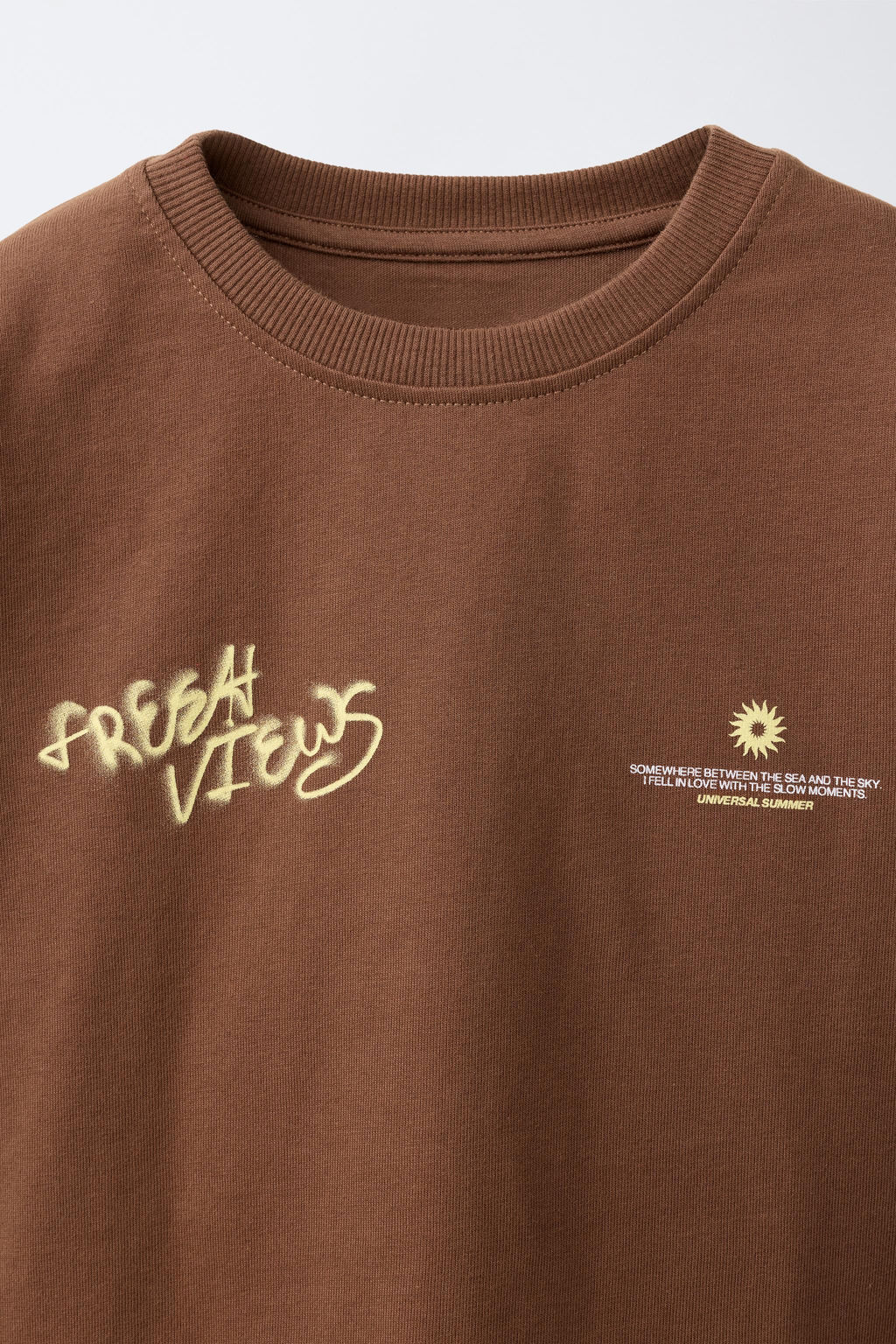 CAMISETA ESTAMPADO FOTOGRAF?A / Marr?n - Zara фото 3
