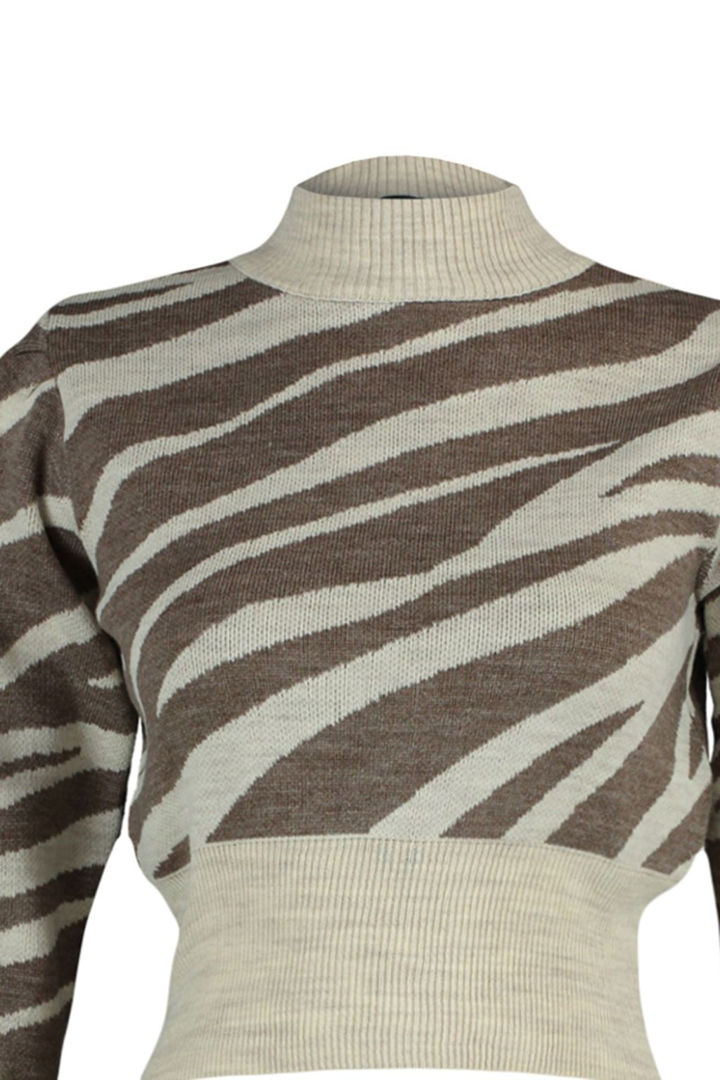 Vizon Zebra Desenli Crop Triko Kazak TWOAW21KZ0010