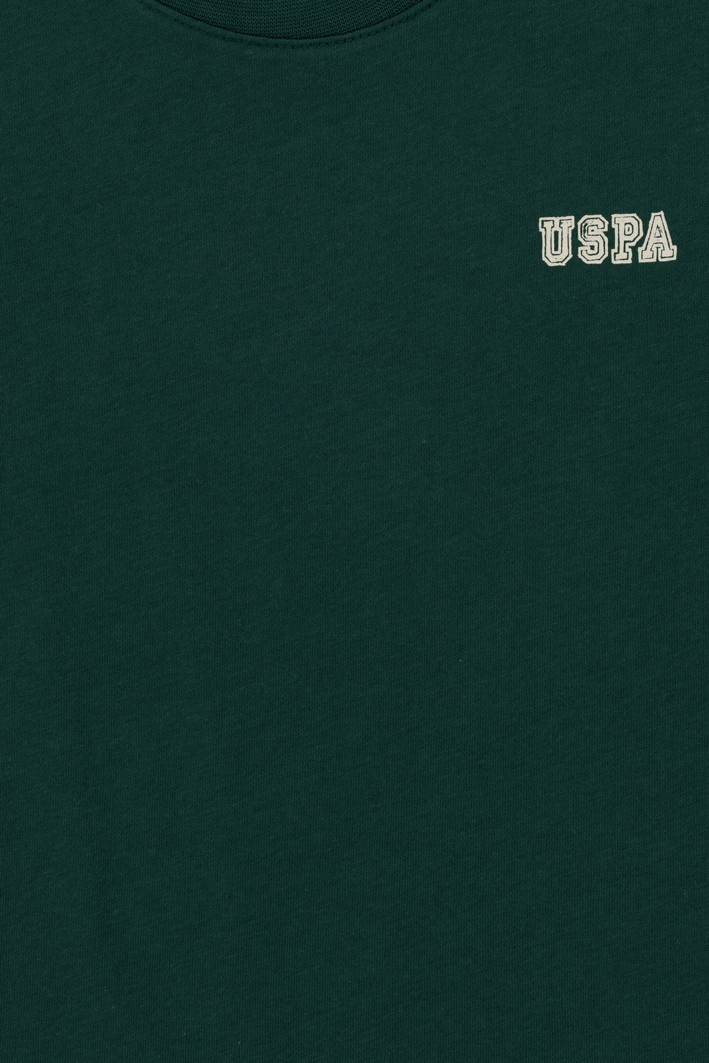 Темно-зеленая футболка для мальчика Неожиданная скидка в корзине - U.s. polo assn фото 6