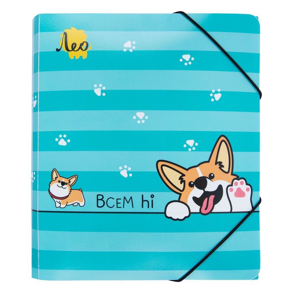 Лео Учись Папка на резинке A4 LRF-06 450 мкм 35 мм песок 5 шт. 04-Корги