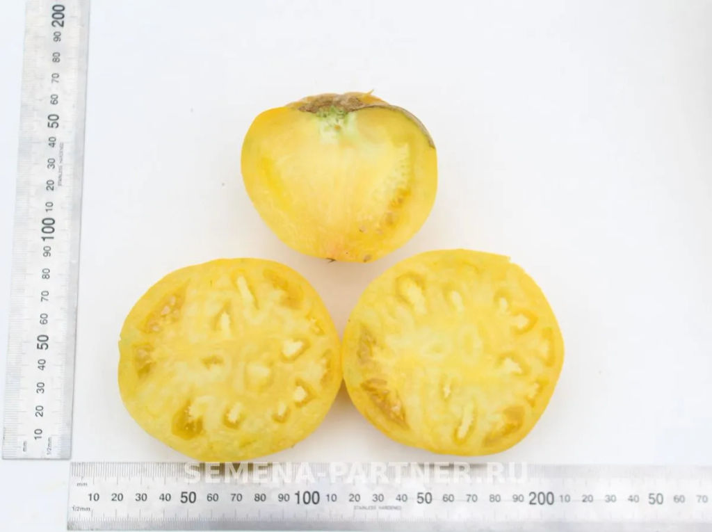 Томат Крем Торт - Партнер фото 5