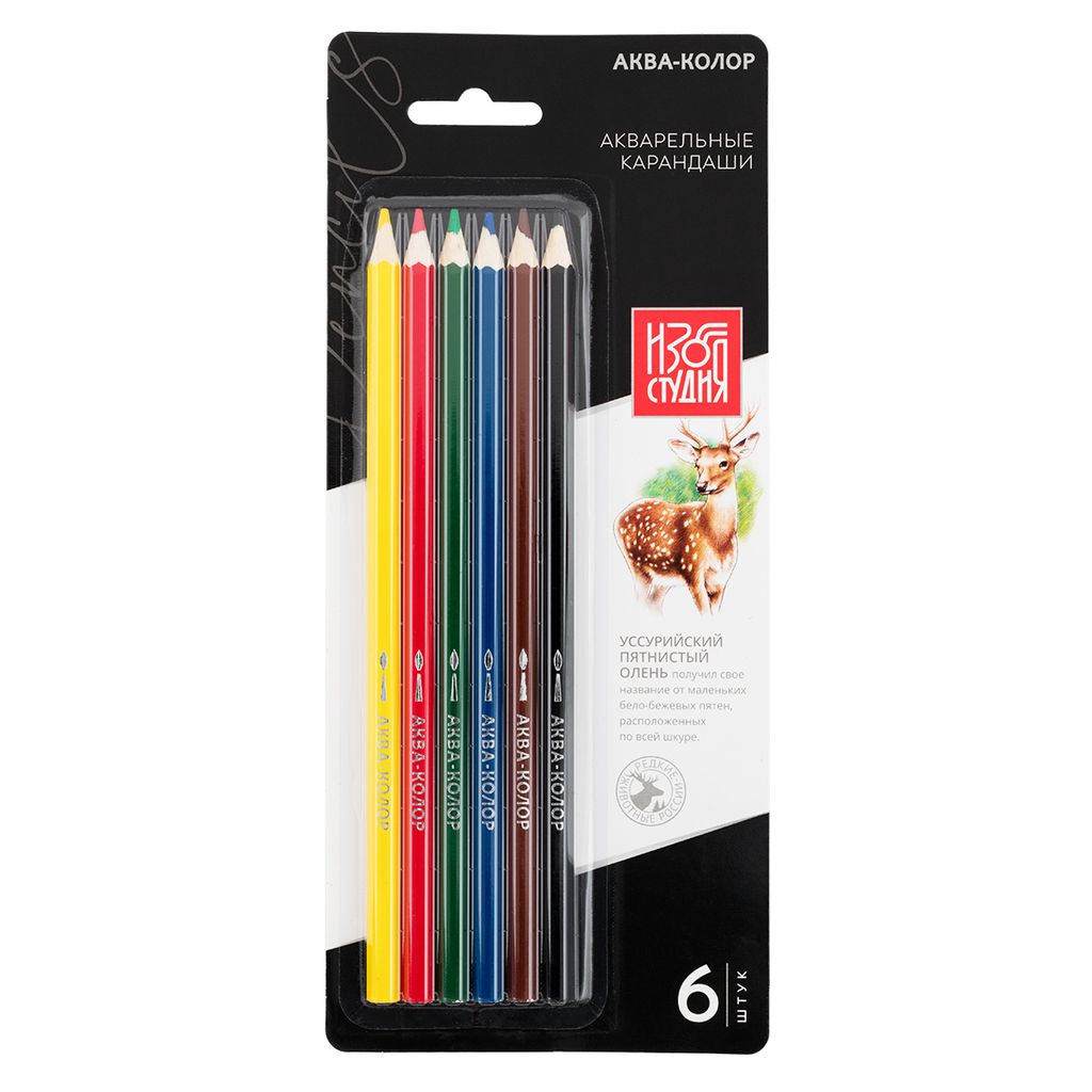 Аква-колор Изостудия IZO-WCP6B Набор акварельных карандашей заточенный 10 х 6 цв